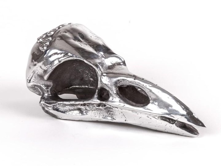 Bird Skull Decorative Object, Seletti