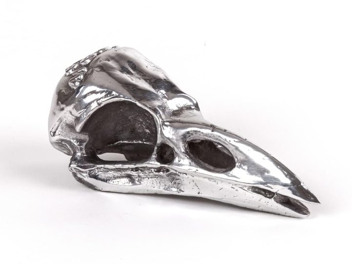 Bird Skull Decorative Object, Seletti