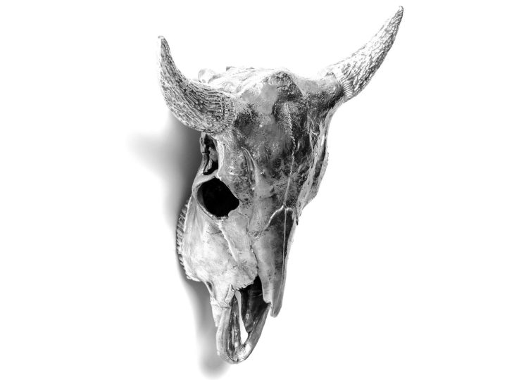 Bison Skull Decorative Object, Seletti