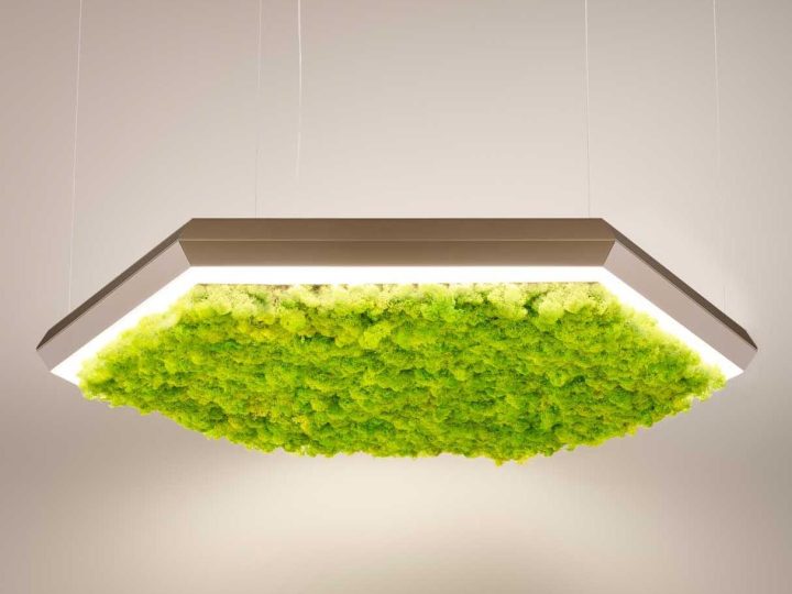 Exagon Silence Green Pendant Lamp, Olev