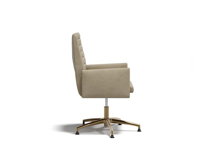 Explorer L Executive Chair, Capital Collection