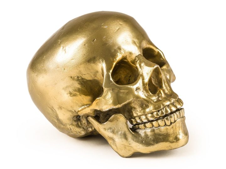 Human Skull Decorative Object, Seletti