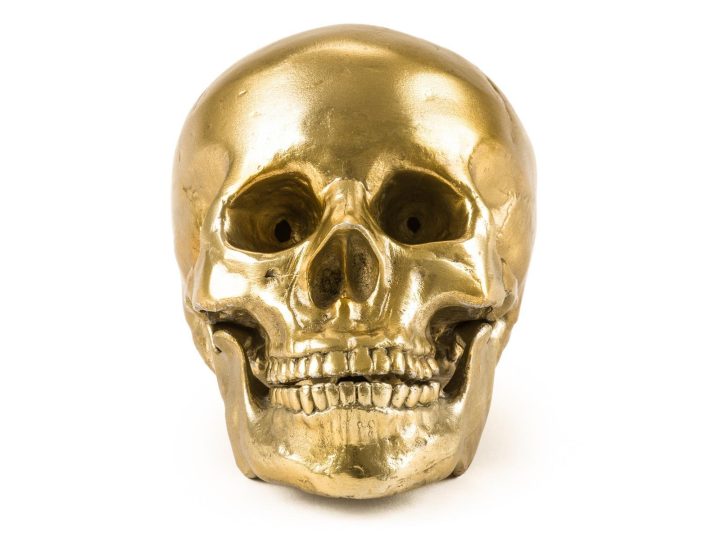 Human Skull Decorative Object, Seletti