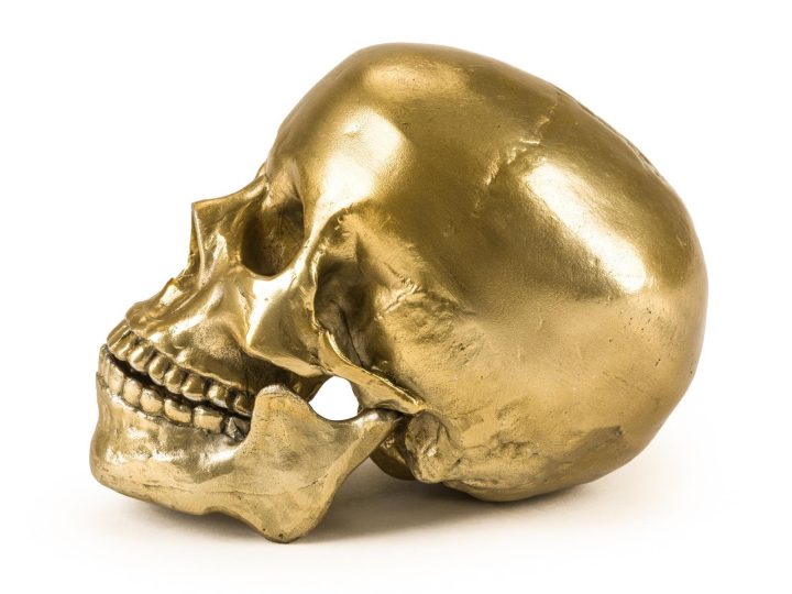 Human Skull Decorative Object, Seletti