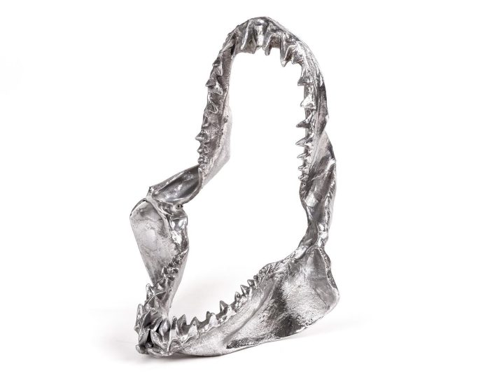 Shark Jaw Decorative Object, Seletti