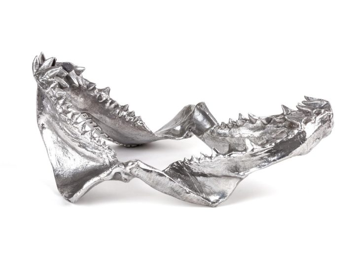 Shark Jaw Decorative Object, Seletti