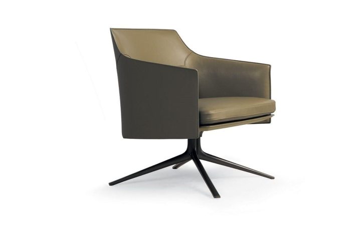 Stanford Armchair, Poliform