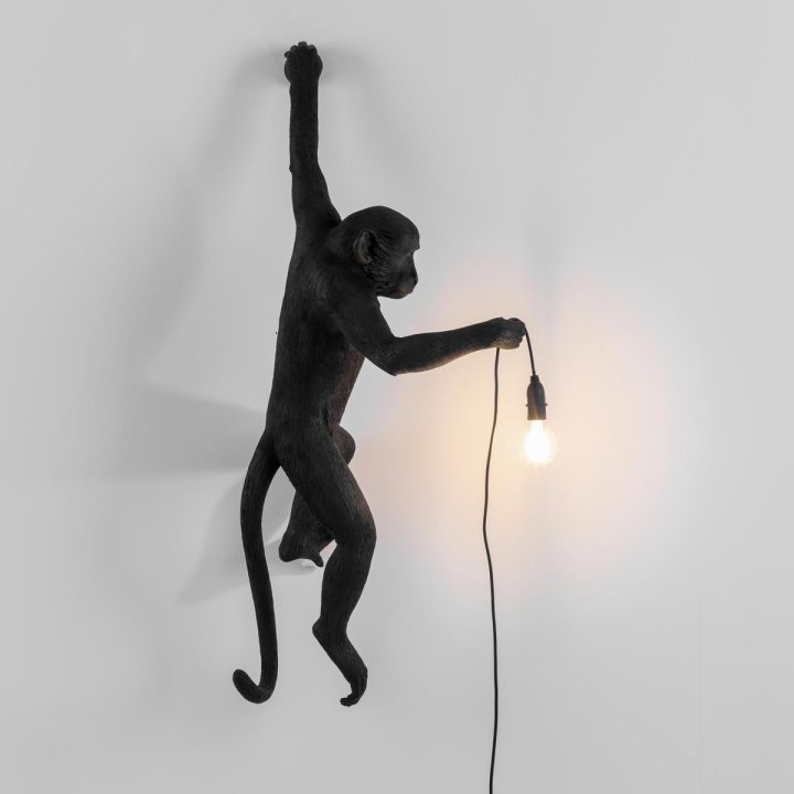 The Monkey Lamp Black Hanging Outdoor Wall Lamp, Seletti