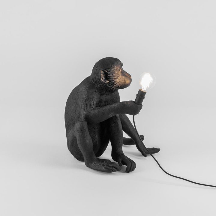 The Monkey Lamp Black Sitting Outdoor Floor Lamp, Seletti