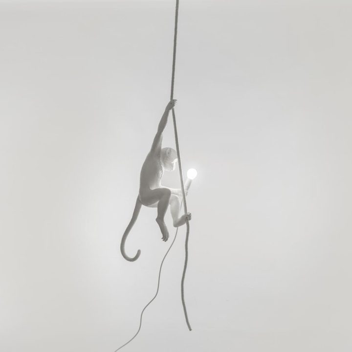 The Monkey Lamp Ceiling Outdoor Pendant Lamp, Seletti