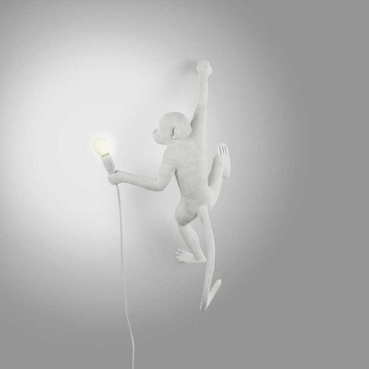 The Monkey Lamp Hanging Outdoor Wall Lamp, Seletti