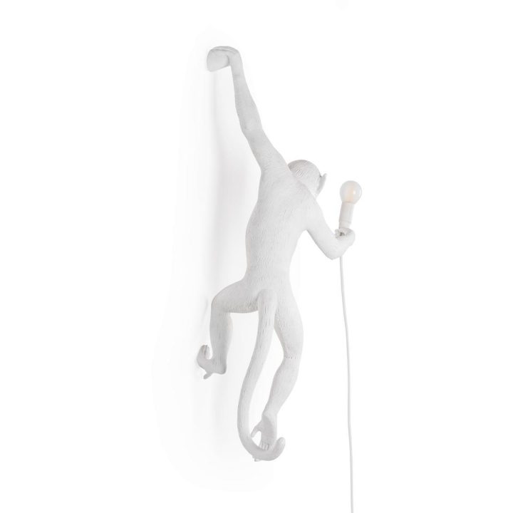 The Monkey Lamp Hanging Outdoor Wall Lamp, Seletti