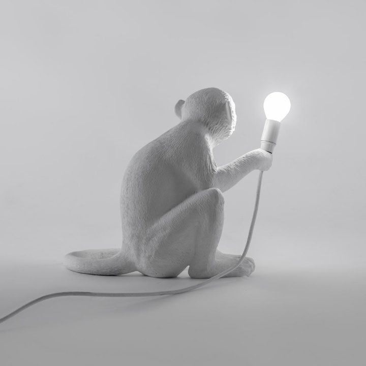 The Monkey Lamp Sitting Outdoor Floor Lamp, Seletti