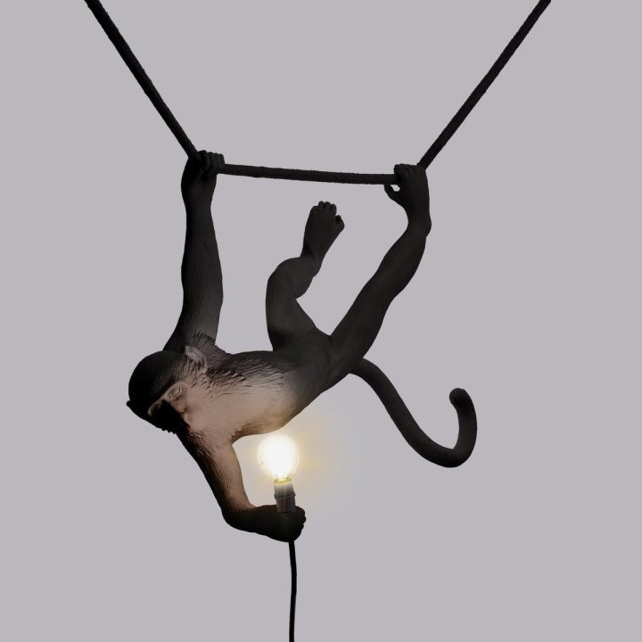 The Monkey Lamp Swing Outdoor Pendant Lamp, Seletti