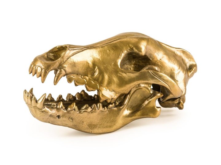 Wolf Skull Decorative Object, Seletti