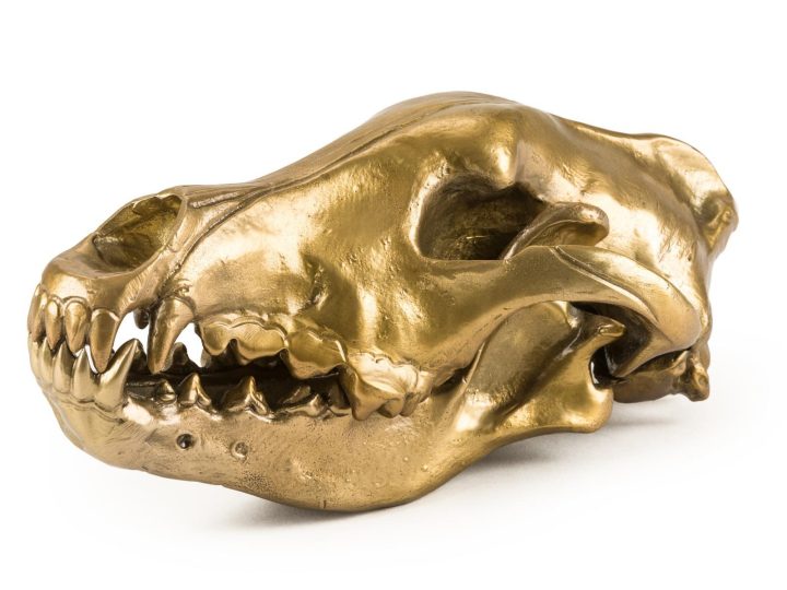 Wolf Skull Decorative Object, Seletti