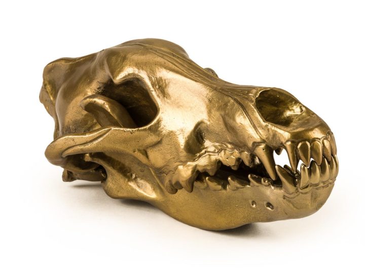 Wolf Skull Decorative Object, Seletti