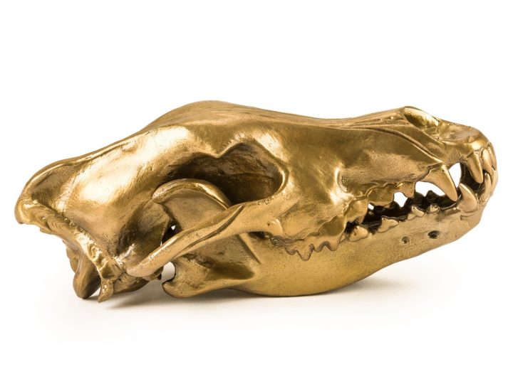 Wolf Skull Decorative Object, Seletti