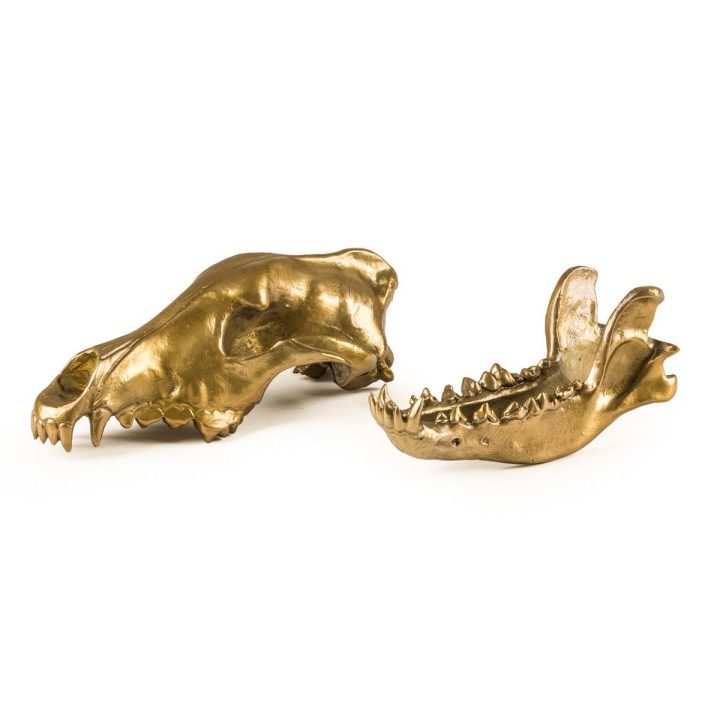 Wolf Skull Decorative Object, Seletti