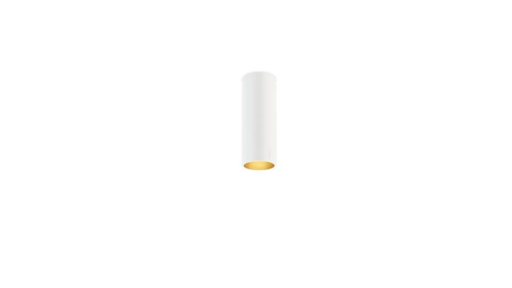 Scope 21 Surface Ceiling Lamp, Arkoslight