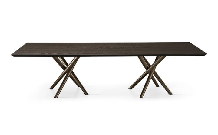 Baly wood - rectangular veneer table in a modern style | Eforma